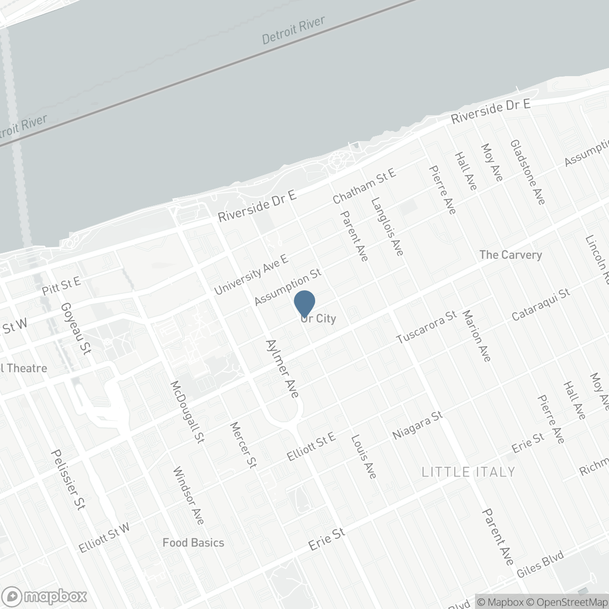 722 BRANT STREET, Windsor, Ontario N9A 3E8